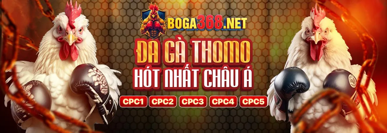 Cá cược thể thao hm88 đá gà sôi động