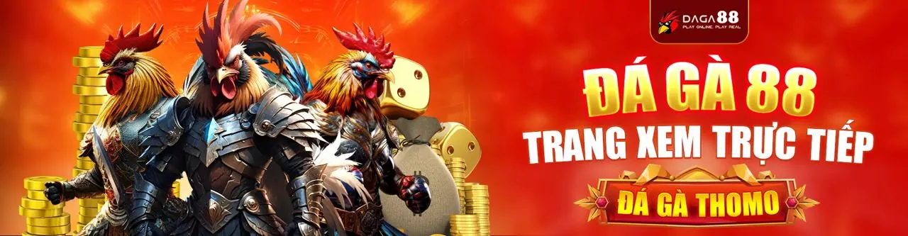 Sân đấu đá gà trực tuyến sôi động tại hm88 đá gà