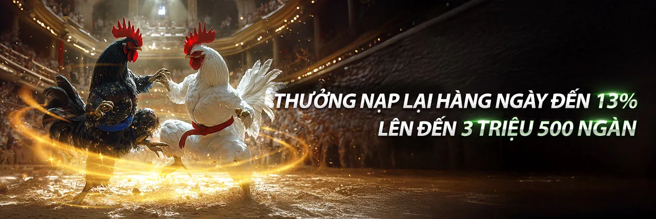 Sân đấu đá gà kịch tính tại hm88 đá gà